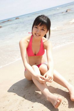 乡村野花香